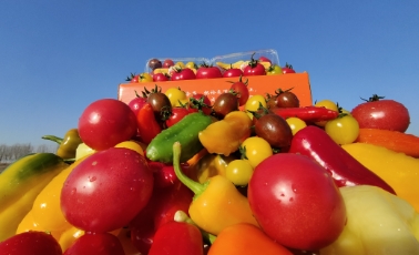 哲思 | ?認(rèn)知的四個(gè)層次，讀懂改變一生