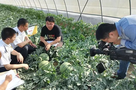 寒流無(wú)情，農(nóng)大和豫藝有愛(ài)